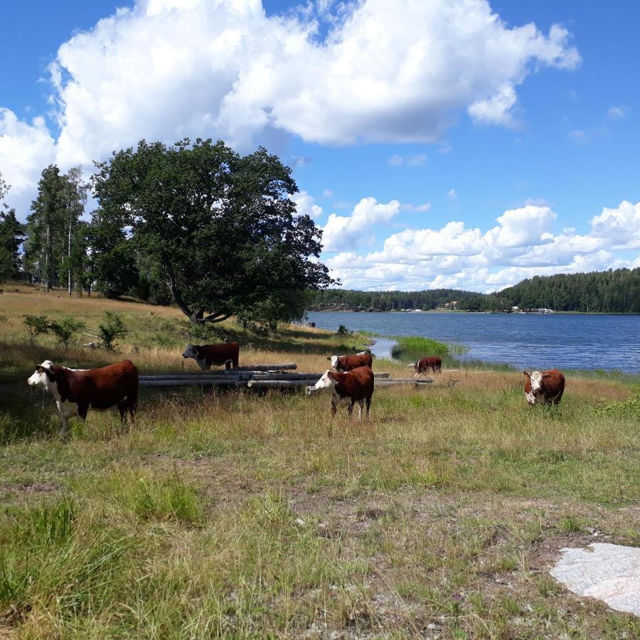 Bed and Breakfast Sankt Anna Bed And Boat, Екстер'єр фото